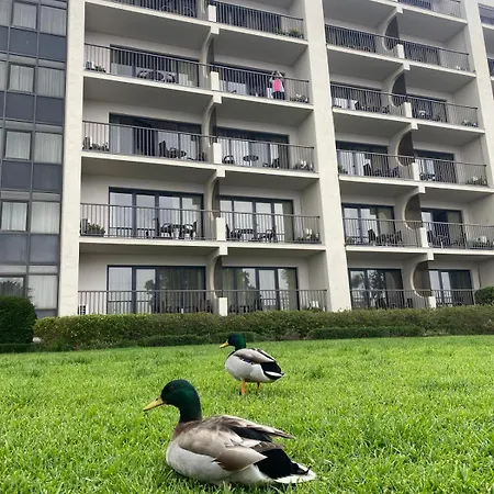 Apartment Gale T1 248