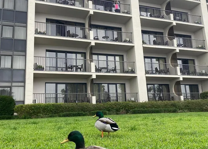 Appartement Gale T1 248